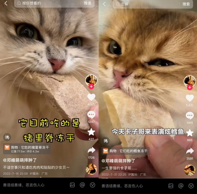 Top3这条千亿赛道杀出一匹黑马麻将胡了免费试玩年销2亿抖音类目(图8)