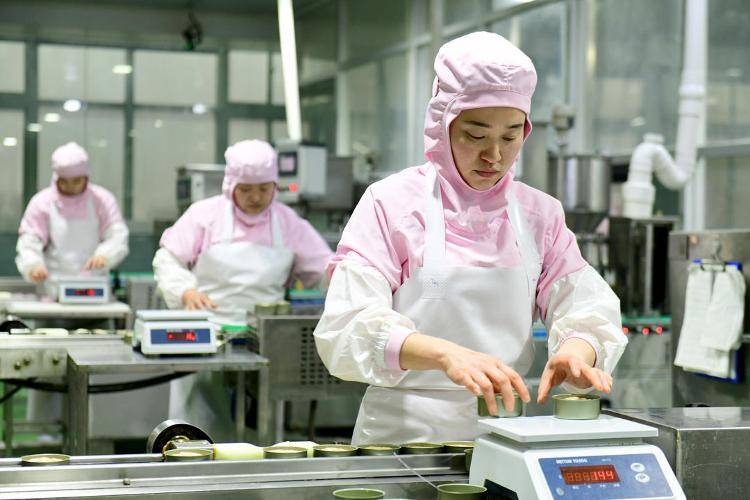 十袋宠物粮就有三袋产自山东麻将胡了模拟器试玩全国每(图3)