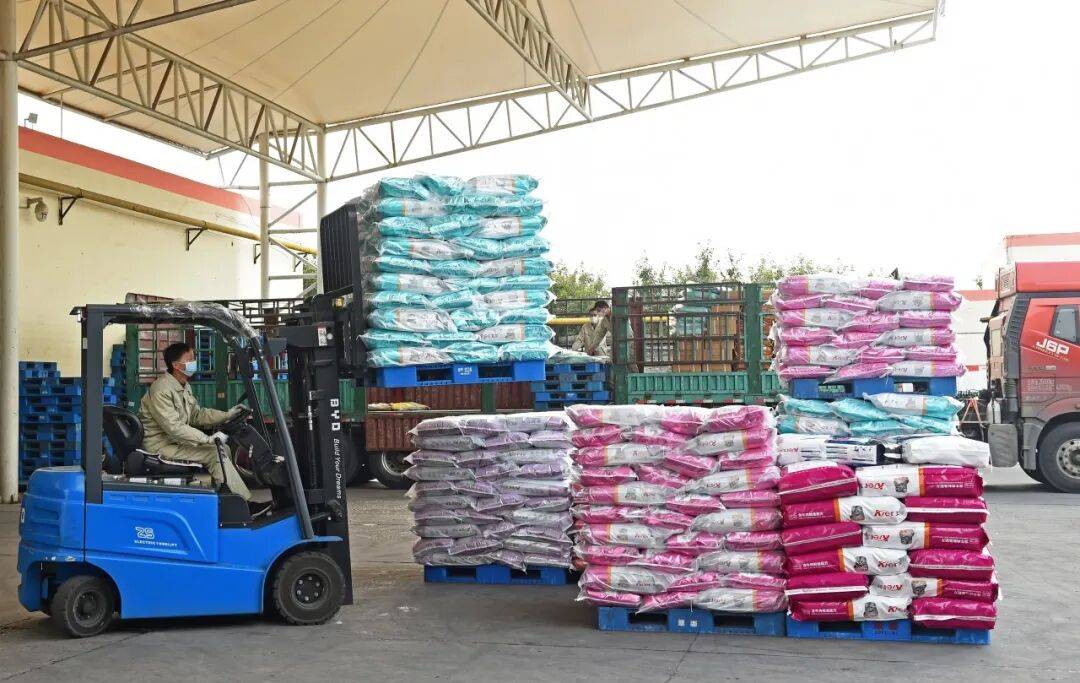 全国一半的猫和狗河北农业县大逆袭！麻将胡了2模拟器试玩年入百